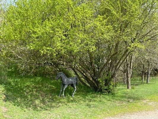 Bild 12