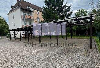 WhatsApp Image 2025-07-29 at 09.11.38