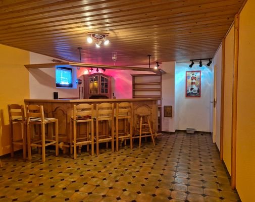 Keller-Bar mit professioneller Ausstattung