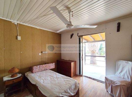 img_c0556b25-f76e-4672-81bc-18092aaa2847