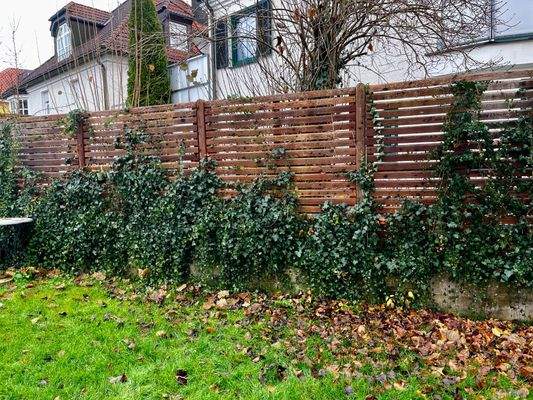 Blick in den Hinterhof