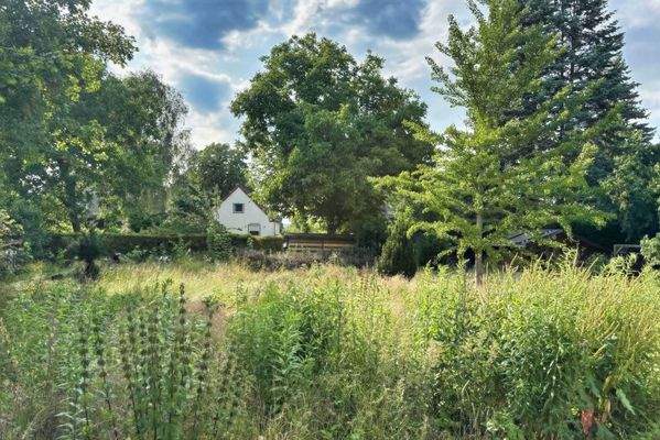 hinterer Grundstücksteil