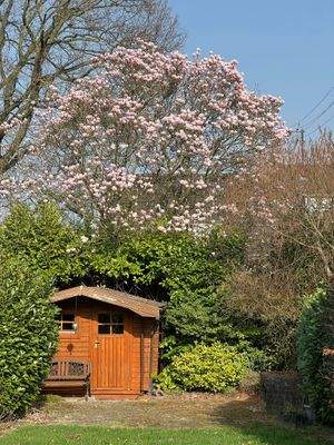 Blick in den herrlichen Garten