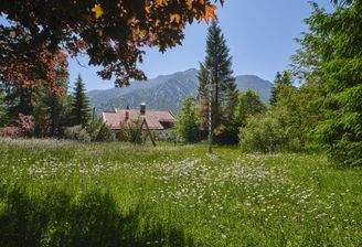 Alpen-Immo_Schliersee_5