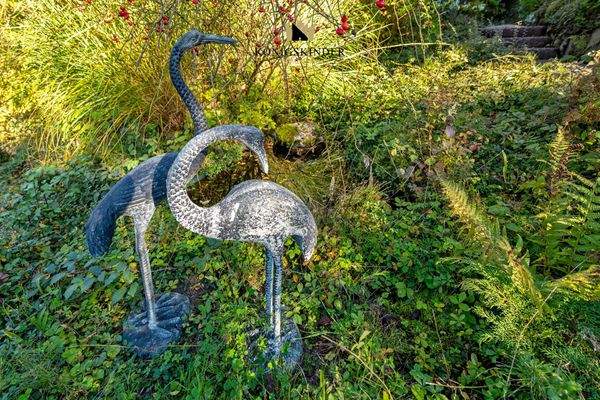 ...mit kleinem Teich und dauerhaft bleibenden Kraniche