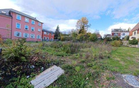 Wangen im Allgäu Wohnungen, Wangen im Allgäu Wohnung kaufen