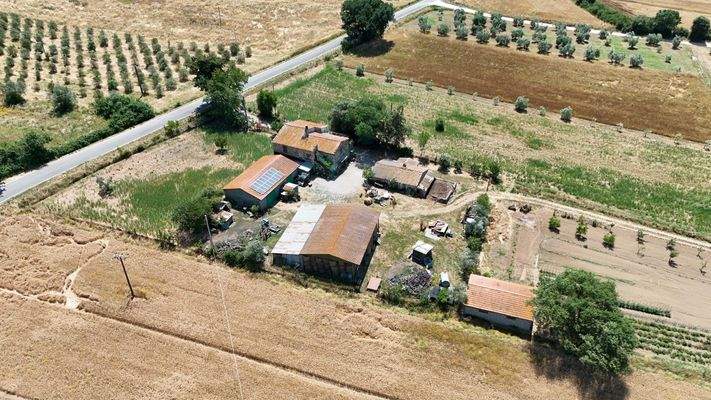 C10279D5-22EB-4ABD-A88C-1EB4C5C00A5B_1_102_o