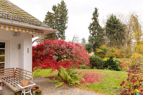 Der parkähnliche Garten