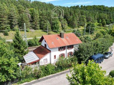 Immendingen Häuser, Immendingen Haus kaufen