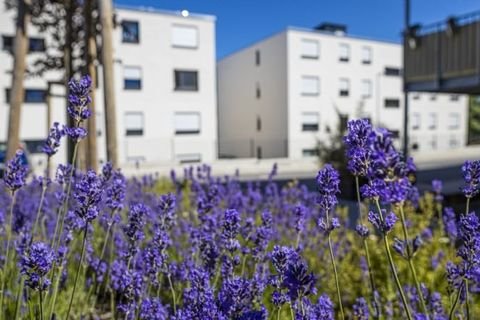 Trier Wohnungen, Trier Wohnung mieten