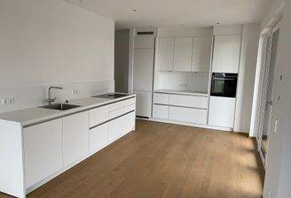 Moderne weisse Küche