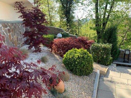 Sehr gepflegte Außenanlage