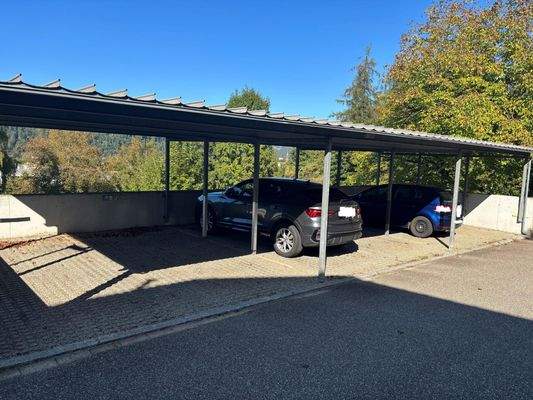 Die Carportstellplätze