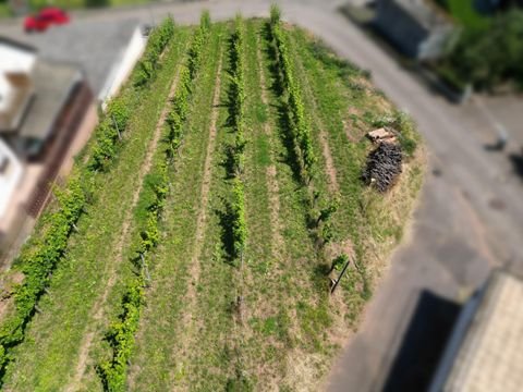 Albersweiler Grundstücke, Albersweiler Grundstück kaufen