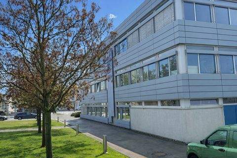 Dresden Halle, Dresden Hallenfläche