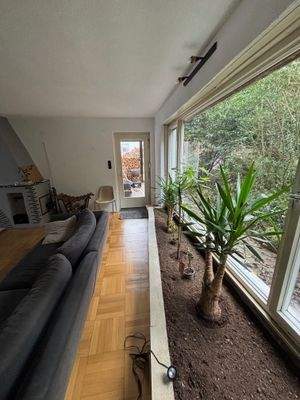 Pflanzbeet im Wohnzimmer.jpg