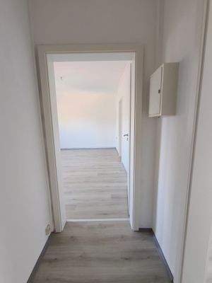 WhatsApp Image 2026-03-03 at 12.47.43.jpeg