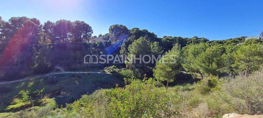 Modern Detached Villa for Sale in Pinar de Campoverde