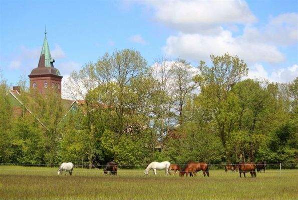 Hofanlage inkl. zugehörigen Hektar 