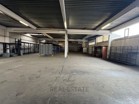Barsbüttel Halle, Barsbüttel Hallenfläche