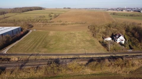 Rammingen Bauernhöfe, Landwirtschaft, Rammingen Forstwirtschaft