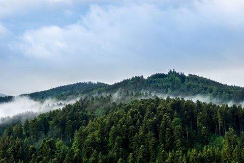 Baiersbronn Gastronomie, Pacht, Gaststätten