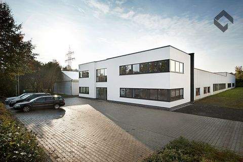 Attendorn Halle, Attendorn Hallenfläche