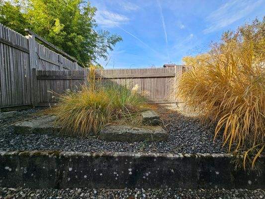 Blick auf den Gräser- und Steingarten