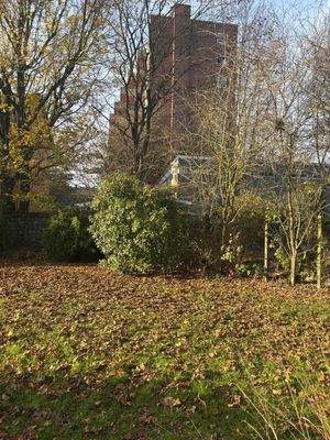 WhatsApp Image 2025-12-04 at 14.17.56 (18)