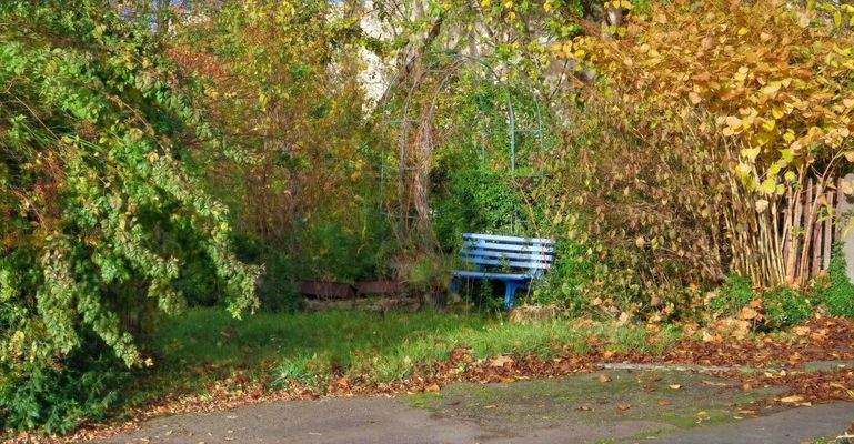 Gartenbereich neben der Einfahrt