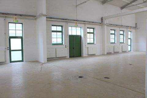 Bitterfeld-Wolfen Halle, Bitterfeld-Wolfen Hallenfläche