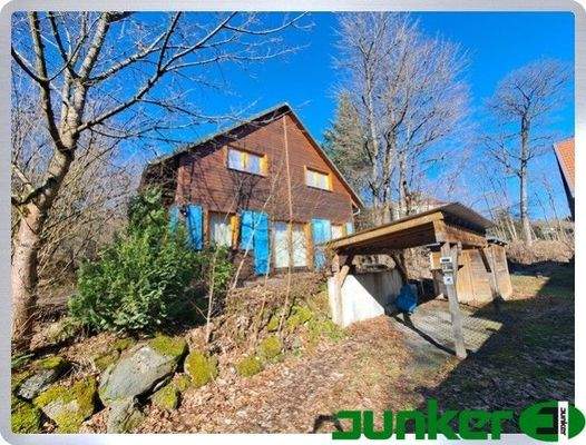 1 Zufahrt mit Caport