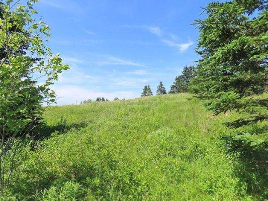 Cape Breton - Soldiers Cove - 13,6 Hektar-Areal mi