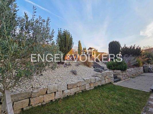 Garten hinter dem Haus