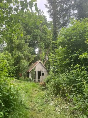 Hütte