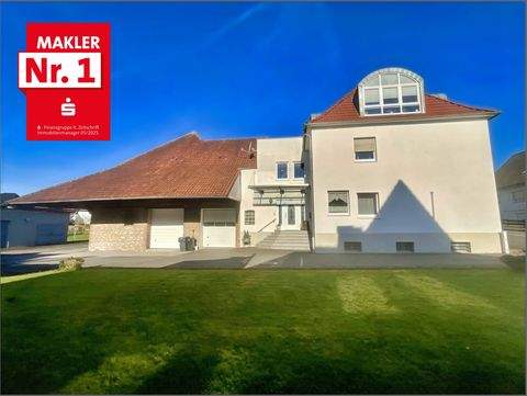 Warstein Halle, Warstein Hallenfläche