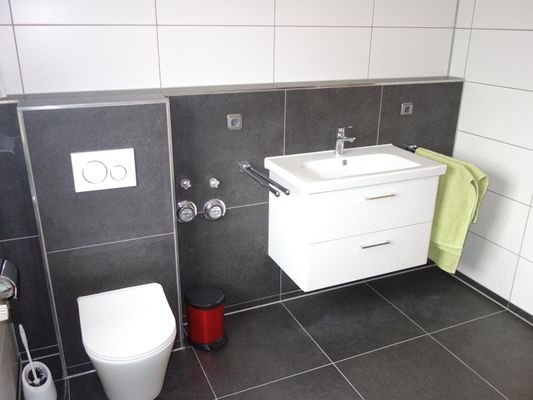 Tageslichtbad_WC und Waschbecken