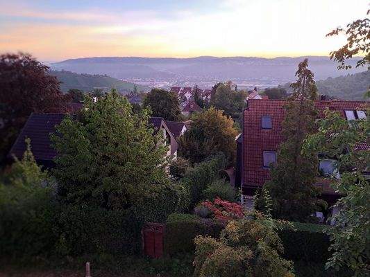 Blick ins Neckartal Ost
