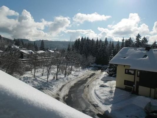 Blick vom Balkon 1