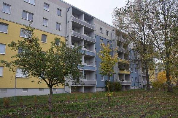 Blick auf Grünflächen 