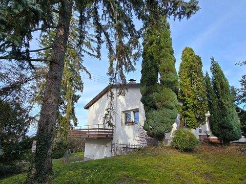 Leimen Häuser, Leimen Haus kaufen