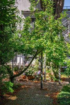 250807ld_0002 - Kopie