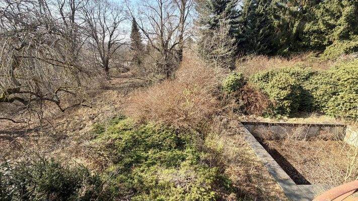 Blick in das Grundstück