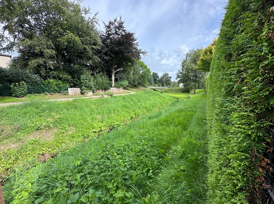 Bach hinter dem Garten .png