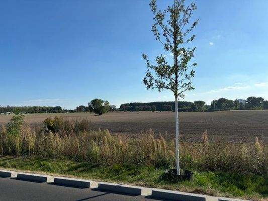 Gegenüber_Weitblick (2).jpg