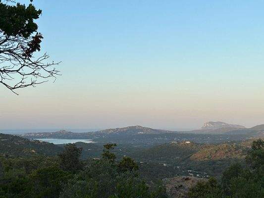 WhatsApp Bild 2025-10-05 um 19.52.28_400cd7f4.jpg