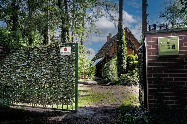 12ecaf2a-3cb4-47b8-b0a1-0e3a0d2c31f9