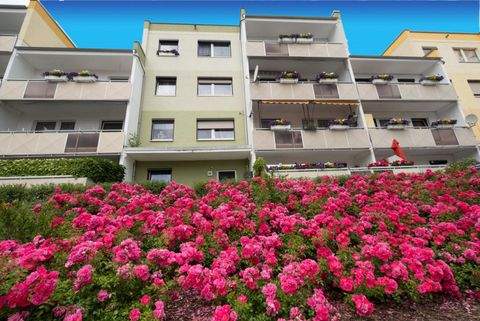 Hohenmölsen Wohnungen, Hohenmölsen Wohnung mieten