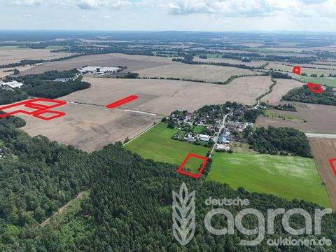 Großdubrau Bauernhöfe, Landwirtschaft, Großdubrau Forstwirtschaft
