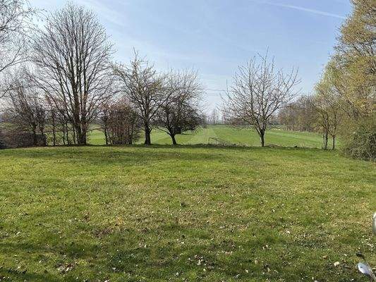 Blick von der Terrasse in den Garten